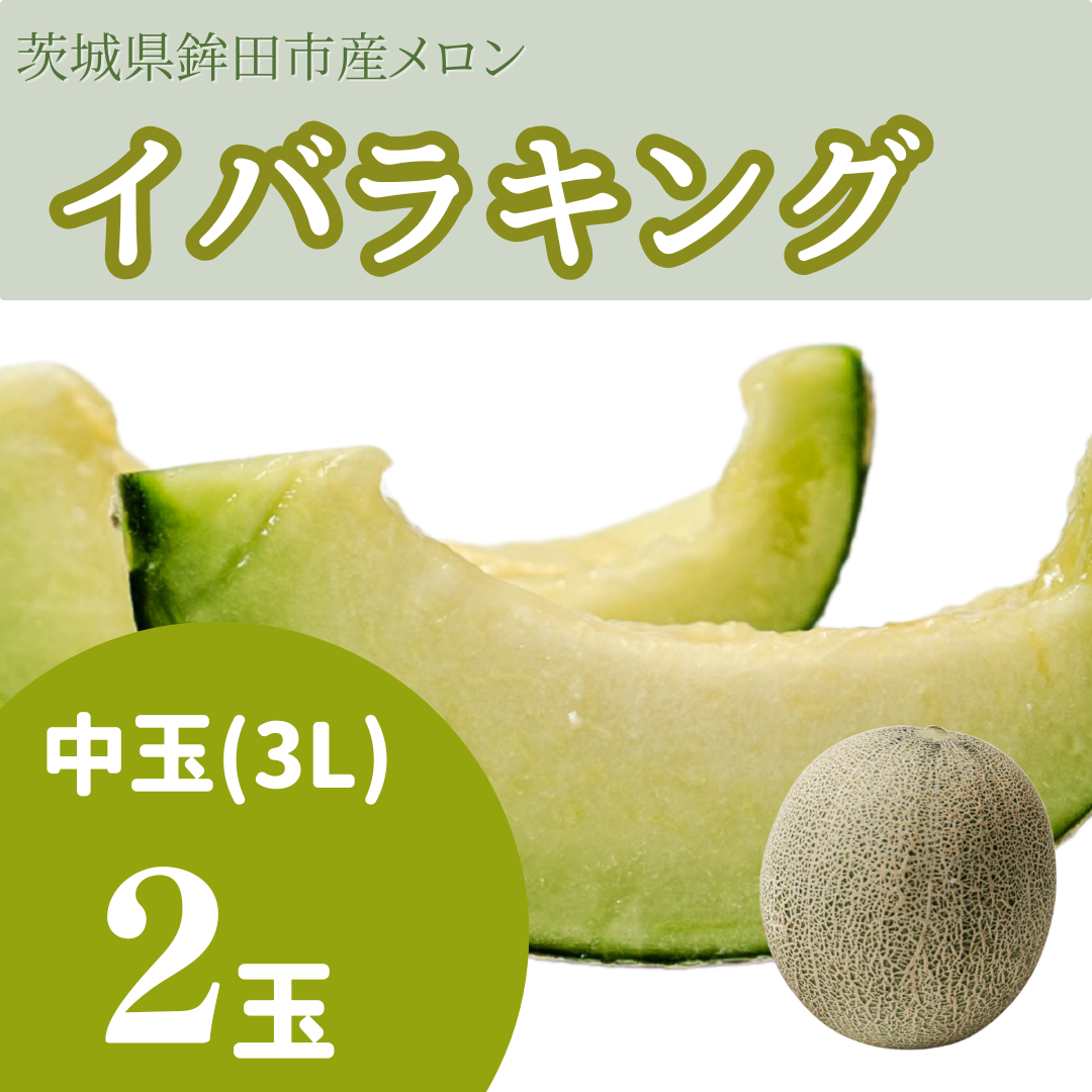 イバラキング中玉(3L) 2玉入り