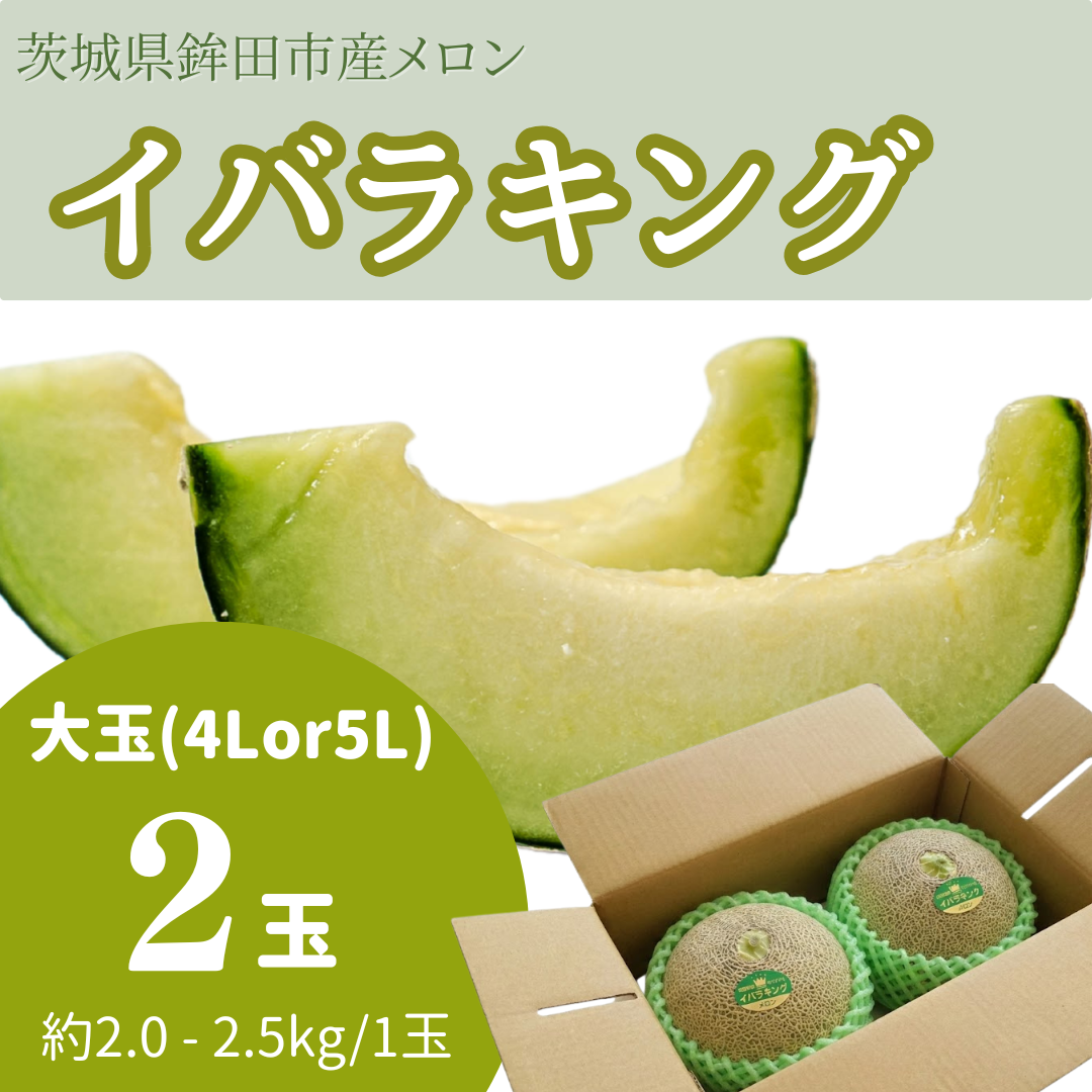 イバラキング大玉（4Lまたは5L）　2玉入り