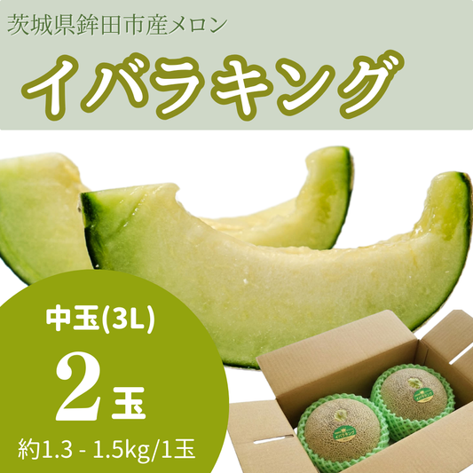 イバラキング中玉（3L）　2玉入り