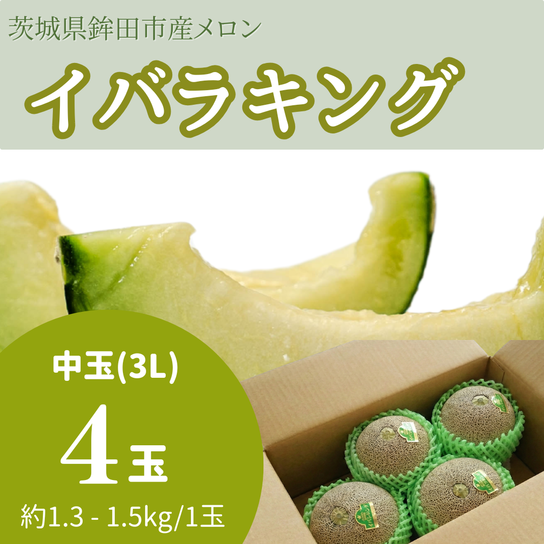 イバラキング中玉（3L） 4玉入り
