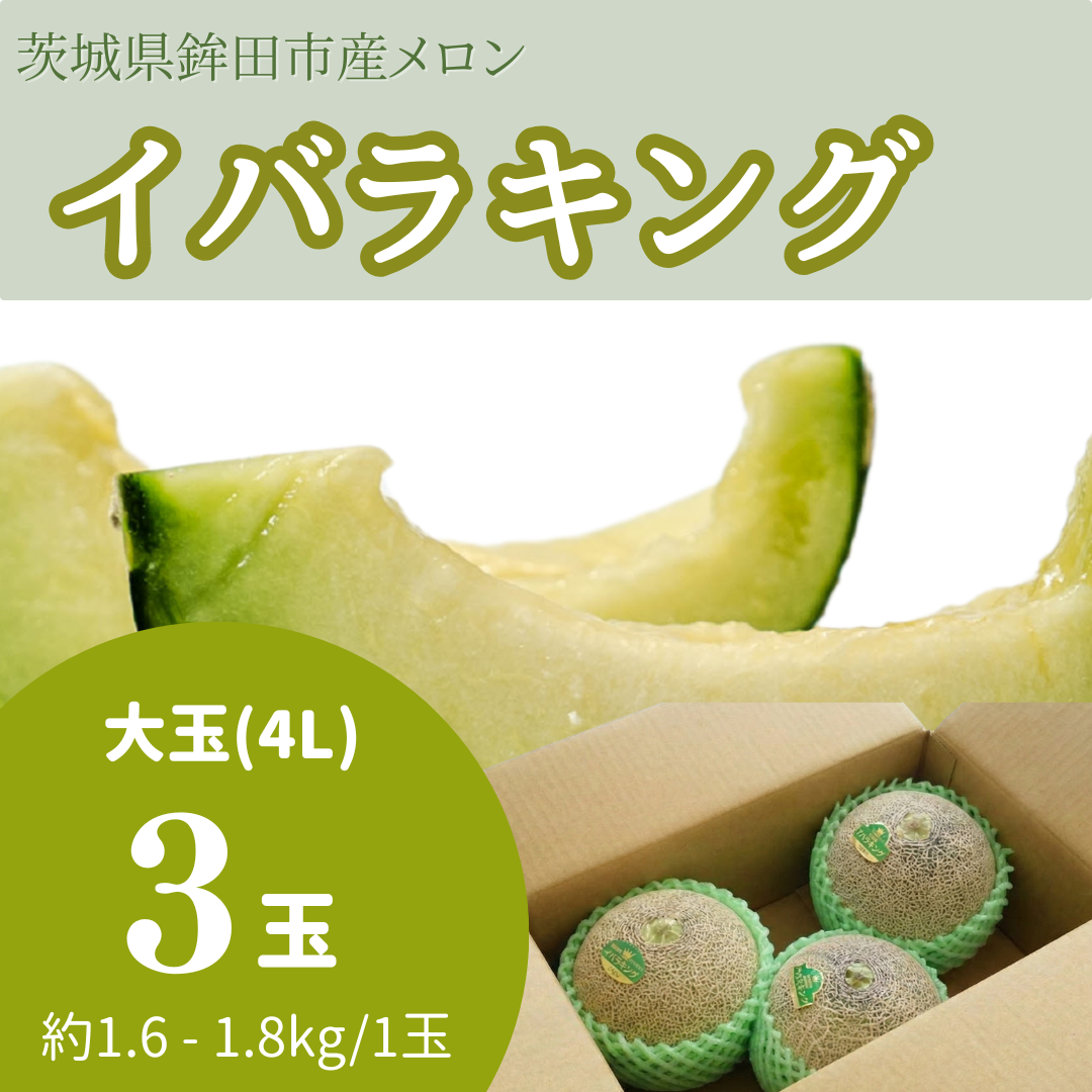 イバラキング大玉（4L） 3玉入り