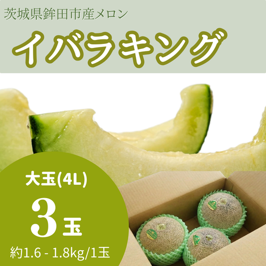 イバラキング大玉（4L） 3玉入り